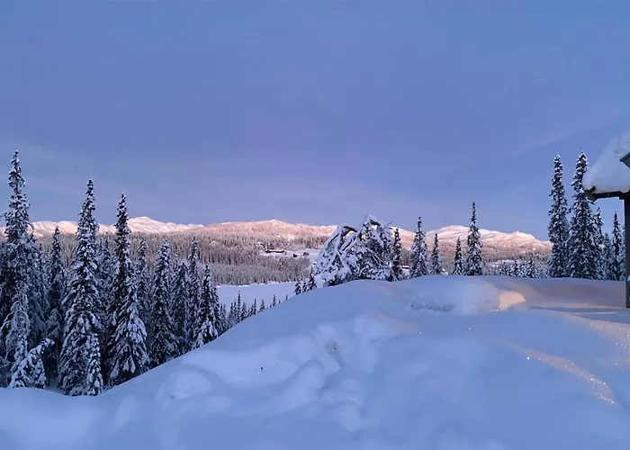 Awesome In Vinje With Sauna Hébergement de vacances